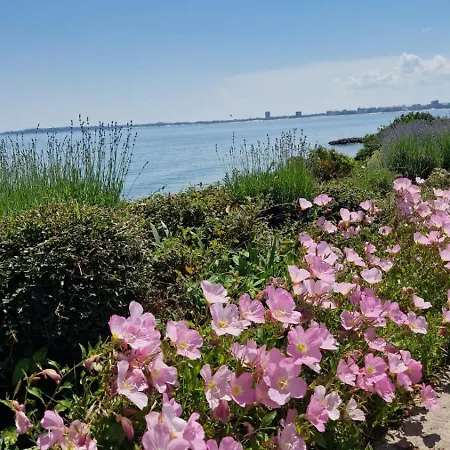 Sorrento Sole Mare V&d Luxury Style Apartment Sweti Wlas