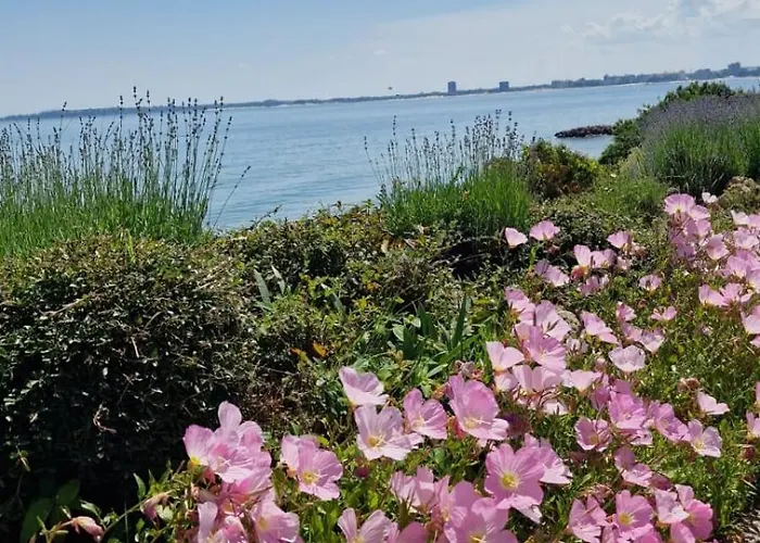 Sorrento Sole Mare V&d Luxury Style Apartament Sveti Vlas